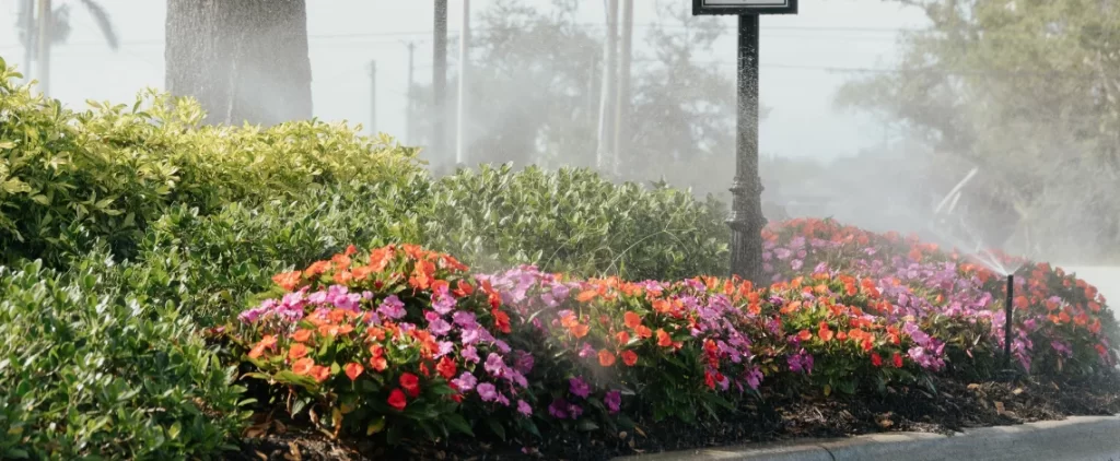 Irrigation and drainage solutions outdoor space