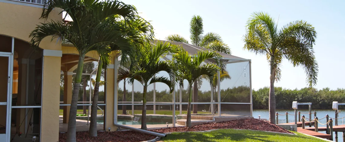Guide to palm trees for landscaping Florida