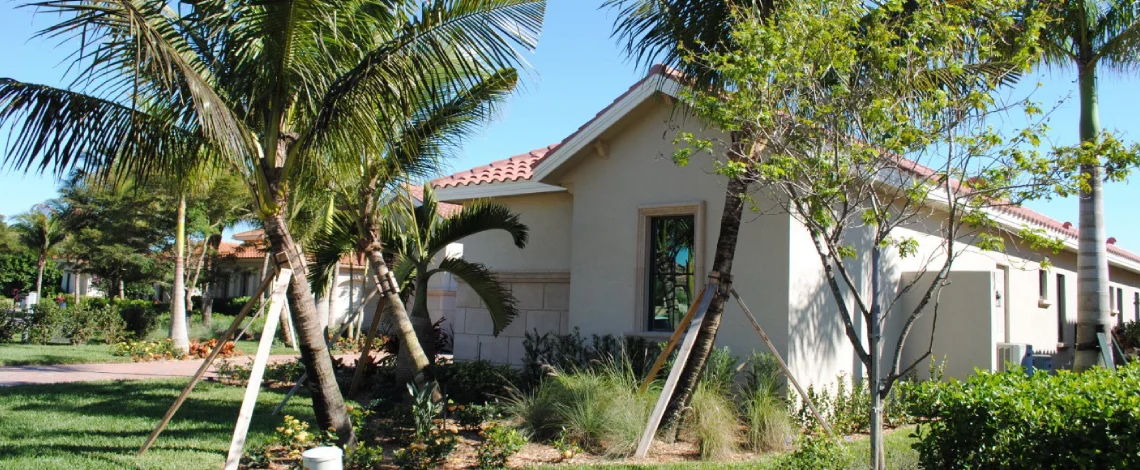 Landscaping with palm trees in Fort Myers