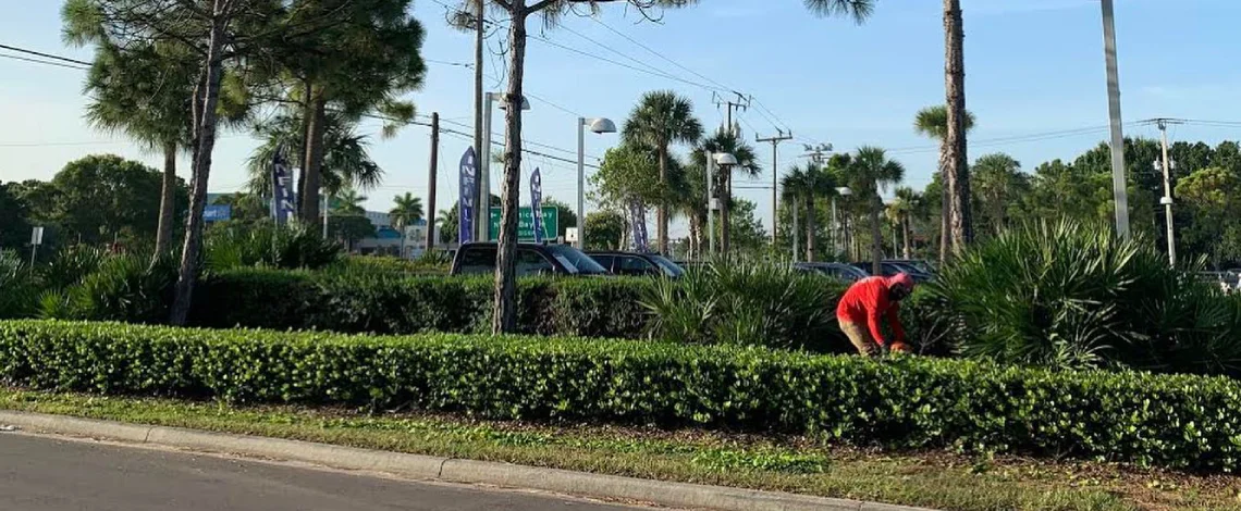 Fort Myers commercial landscaping guide
