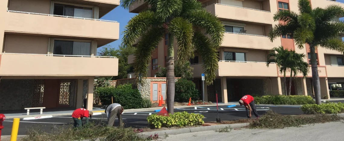 Hire right commercial landscaping company