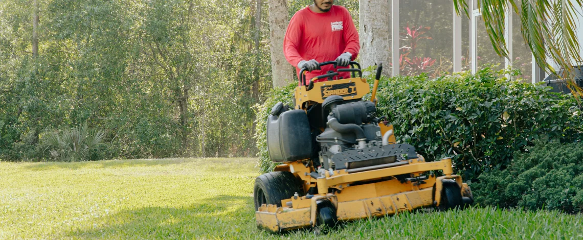 Effective pest control for lawns Cape Coral