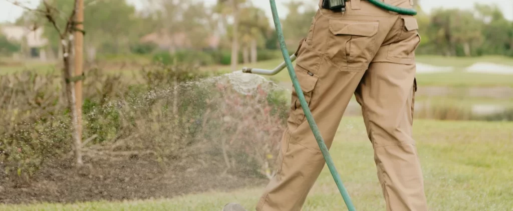Lawn pest control tips Cape Coral
