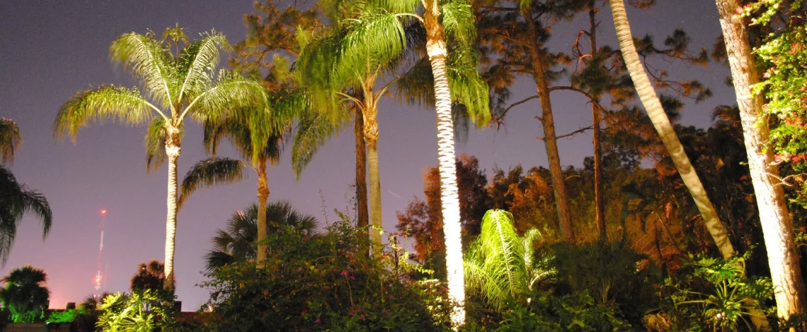 Reasons to hire outdoor lighting experts