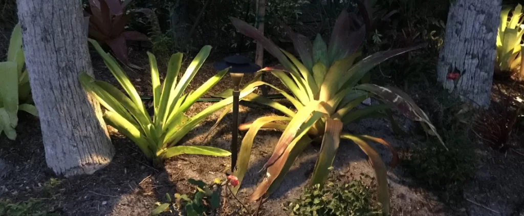 Top reasons to hire landscape lighting experts