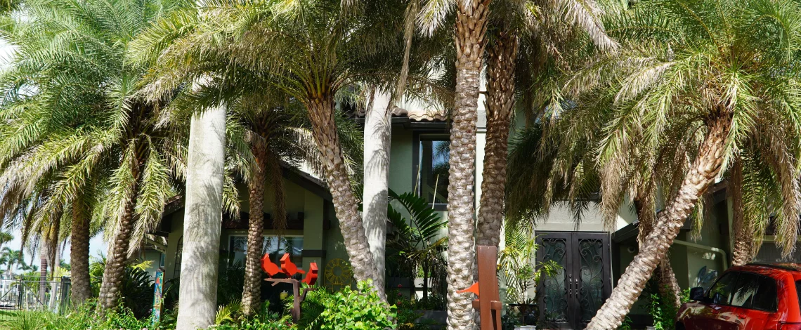 Tree trimming services Naples FL