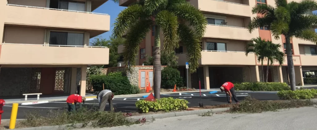 Cape Coral commercial landscape maintenance tips