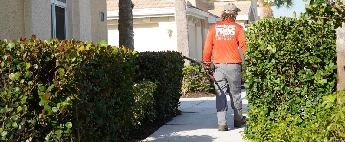 Commercial lawn maintenance benefits Fort Myers