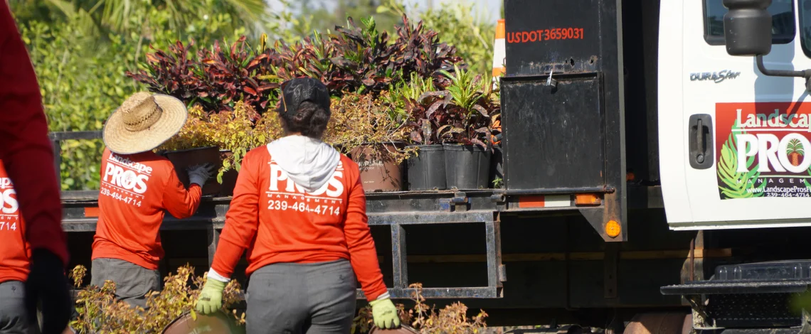 Reasons to hire landscaping experts Fort Myers