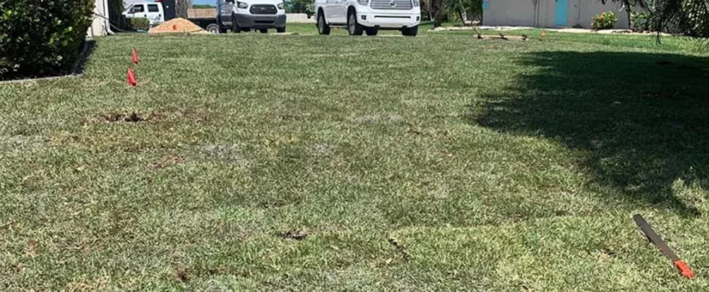 Ultimate sod installation guide