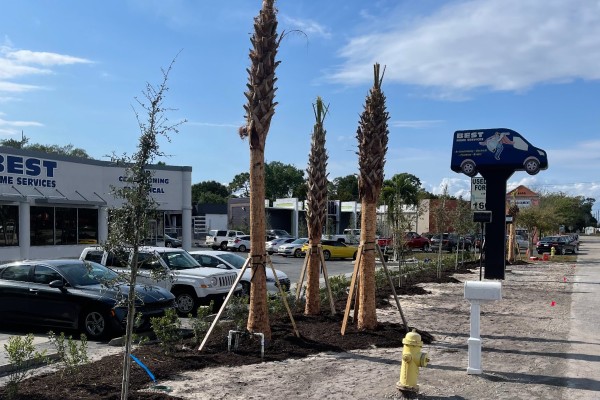Commercial landscaping services
