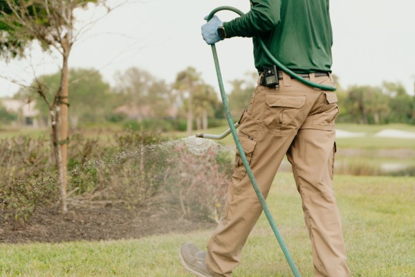 Effective lawn pest control service