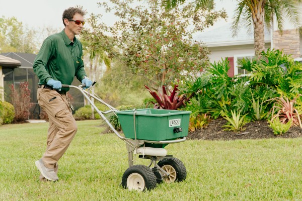 Healthy lawn fertilization program