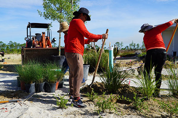 Lawn Care and Landscaping Services in Alva, FL