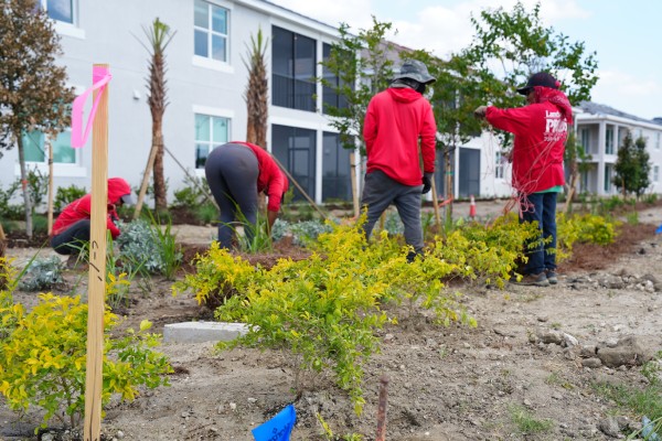Lawn Care and Landscaping Services in Babcock Ranch, FL