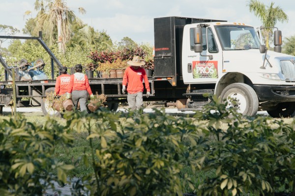Lawn Care and Landscaping Services in Cape Coral, FL