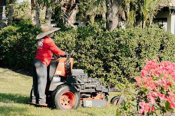 Lawn Care and Landscaping Services in Charlotte, FL