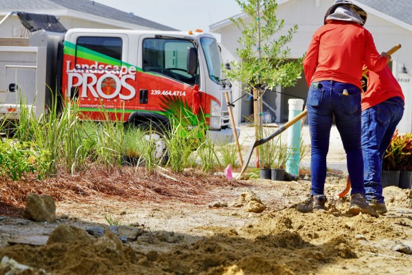Lawn Care and Landscaping Services in Collier, FL