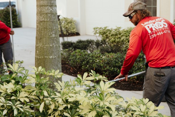 Lawn Care and Landscaping Services in Naples, FL