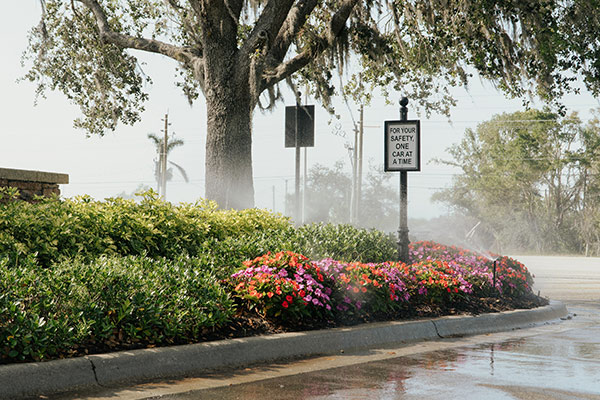 Lawn Care and Landscaping Services in Port Charlotte, FL