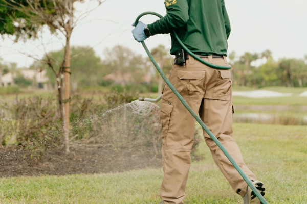 Lawn Pest Control in Fort Myers, FL