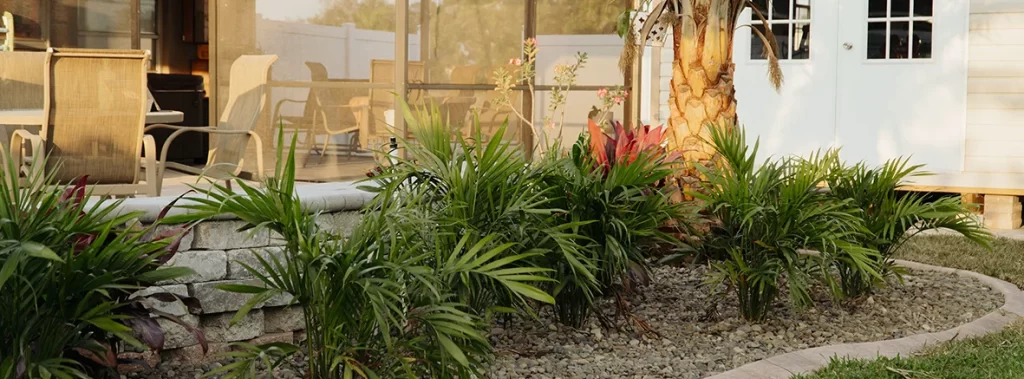 plant installers in fort myers, fl