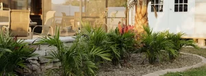 Transform Your Property with Expert Plant Selection for Tropical Landscape Design plant installers in fort myers, fl