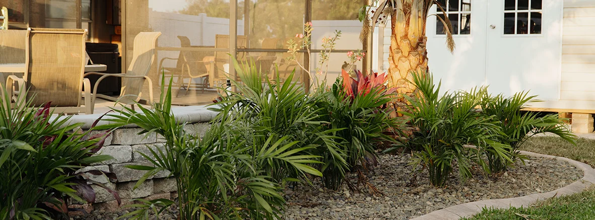 plant installers in fort myers, fl