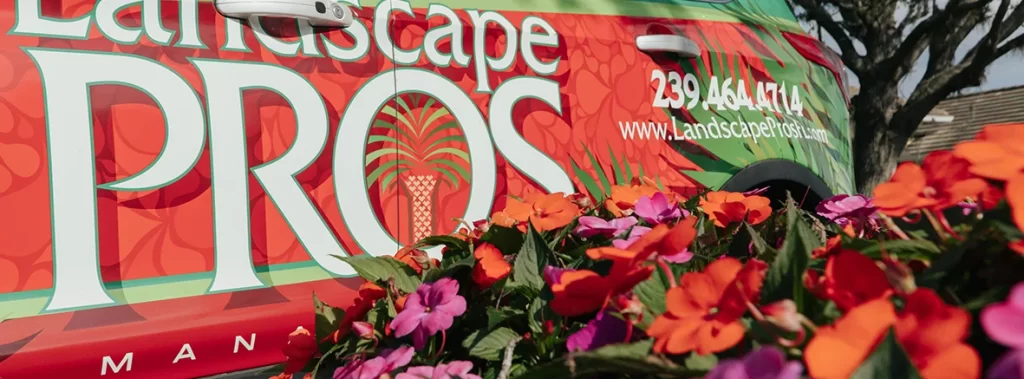 plant selection for tropical landscape design in Florida