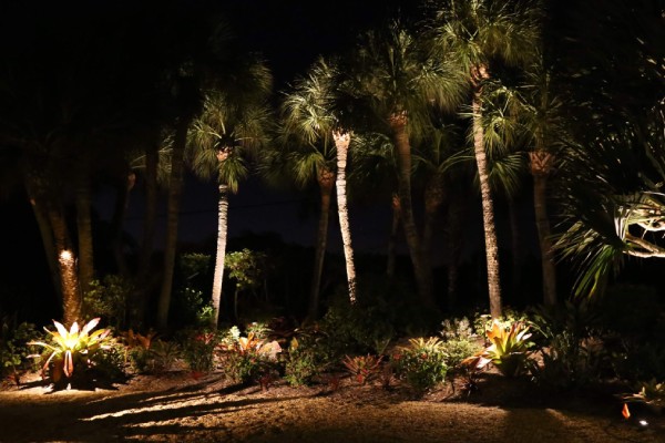 Professional landscape lighting design