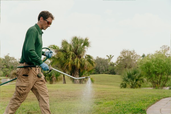 Professional lawn pest management