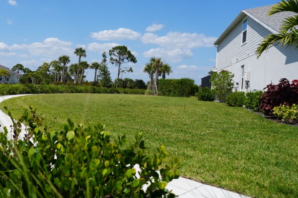 Professional sod installation experts