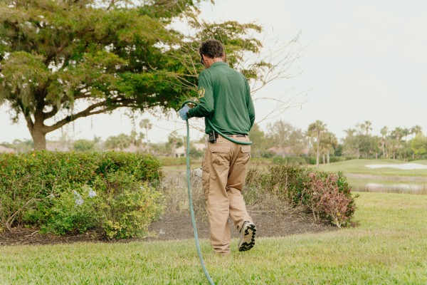 Professional weed control service