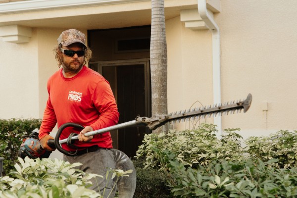 tree removal experts in fort myers fl
