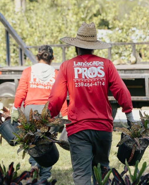 About Landscape Pros
