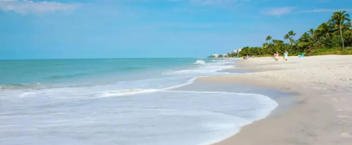 bonita spring florida coastal landscaping