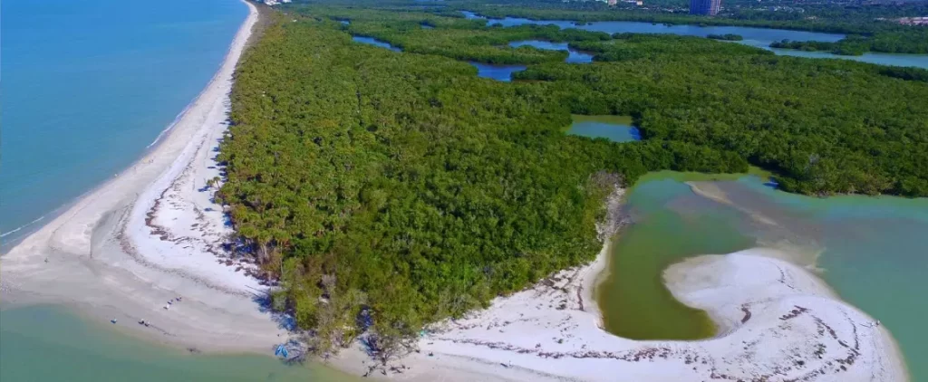 bonita spring florida opportunities for landscape design