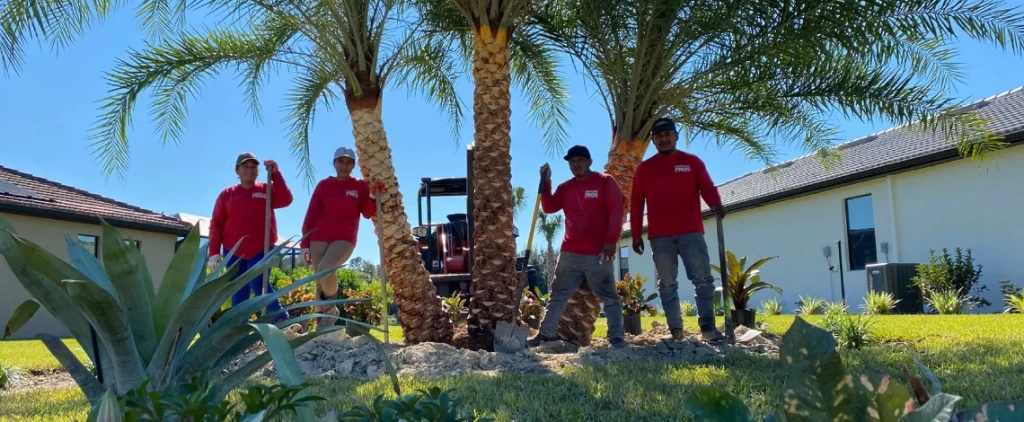 landscape design company in fort myers
