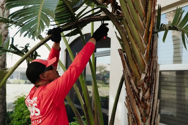 landscaping in Centennial FL