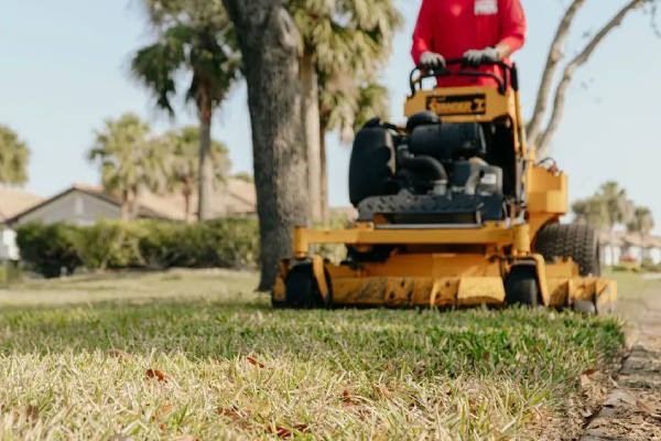 lawn care and landscaping in Buckingham Park FL