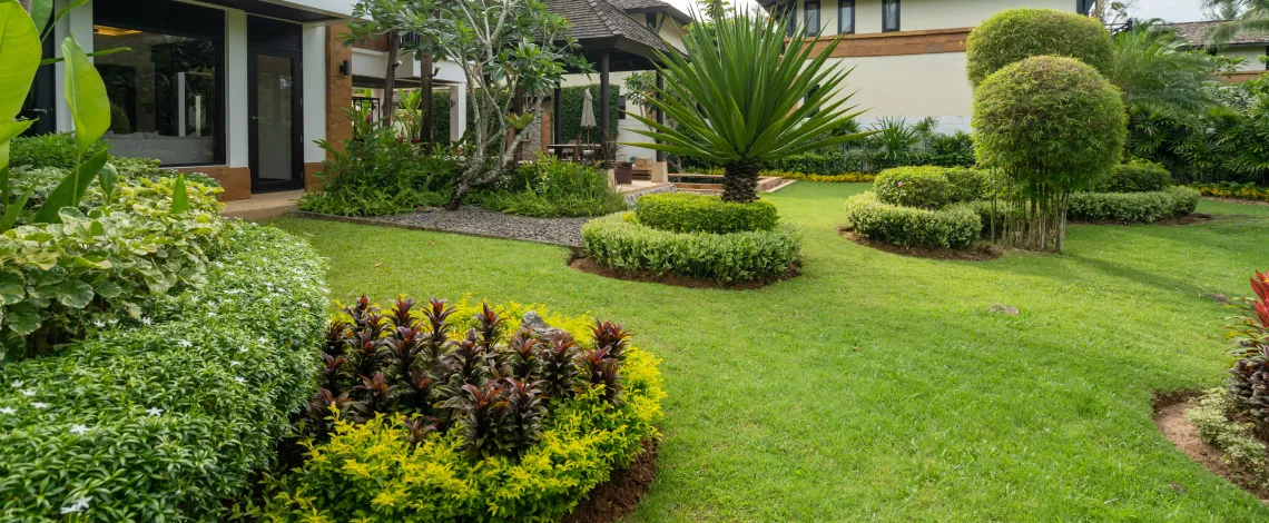 low maintenance commercial landscape design native plants