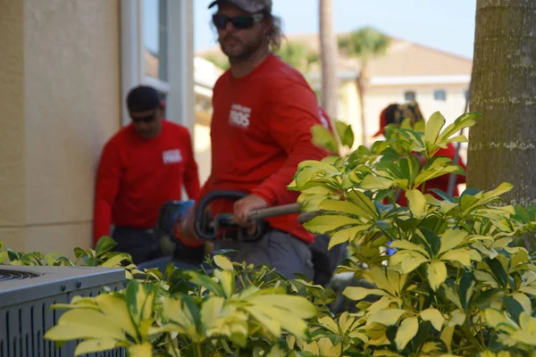 Lawn Care and Landscaping in Eastwood Village, FL