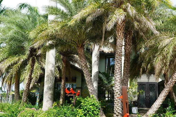 Lawn Care and Landscaping in Heritage Palms, FL