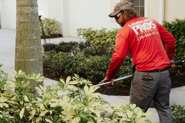 Lawn Care and Landscaping in Laredo Lakes, FL