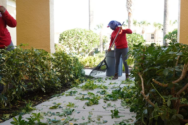 Lawn Care and Landscaping in Sable Palm, FL