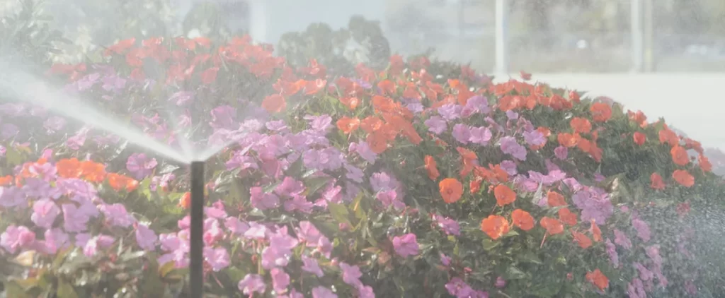 professional irrigation system in florida