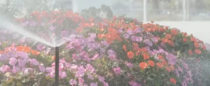Signs Your Irrigation System Needs an Upgrade professional irrigation system in florida