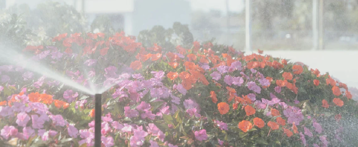 fall irrigation adjustments for cooler weather