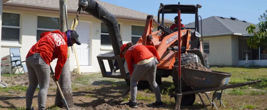 professional tree removal for florida properties