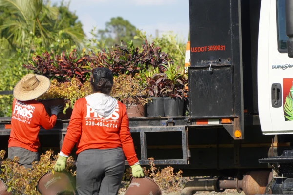 commercial landscape construction services in fort myers fl